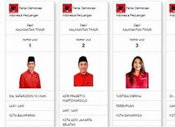 Anggota Dpr Ri Pdip Terpilih 2024